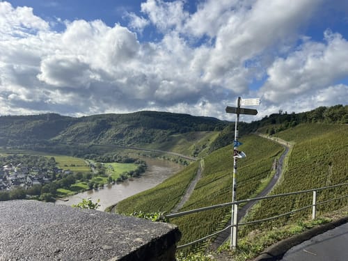 Moselsteig Etappe 14: Reil - Zell (Mosel)