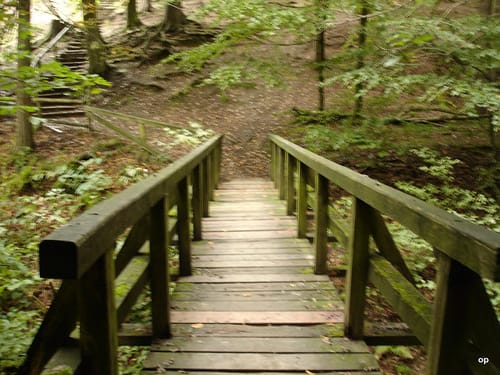 Auf dem Deister-Kamm von Springe nach Bantorf