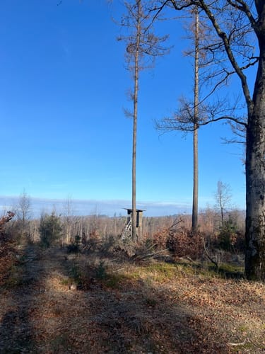 Rundwanderweg Vogel Platte