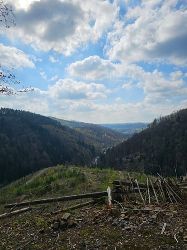 Rundwanderweg Ründeroth-Oesinghausen