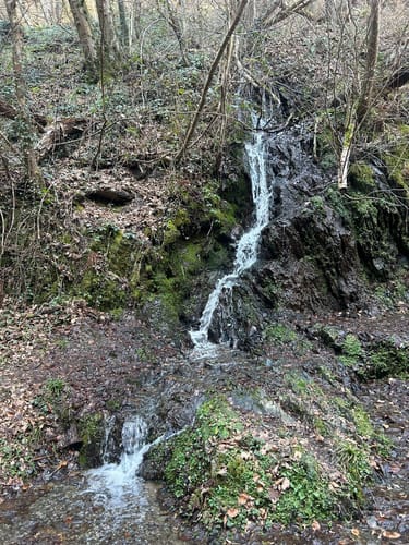 Laubachtal Rundwanderung