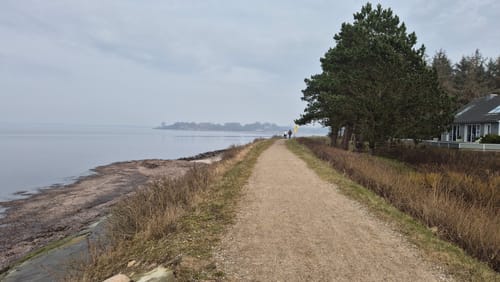 Drei - Holnis - Schausende