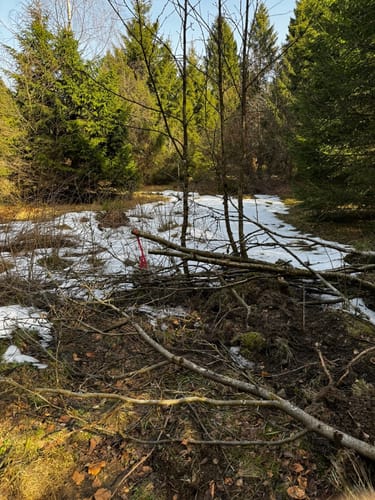 WasserWanderWeg: Clausthaler Teiche
