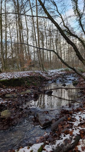 Stinderbachtal und Nösenberg