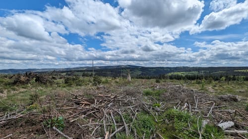 Wolfshagen im Harz - Sommerberg Rundwanderung
