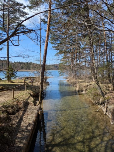 Rundweg um den Fohnsee