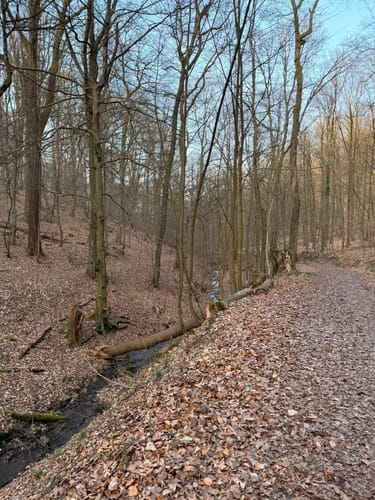 Riegerberg Runde