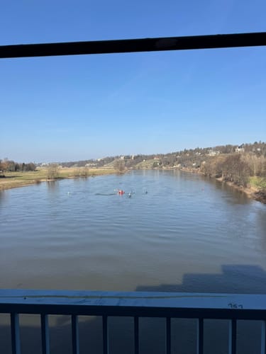 Elbe Wanderung: Lingnerschloss - Weinberge - Loschwitzer Brücke