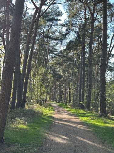 Über die Holmer Sandberge und entlang dem Feuerlöschteich