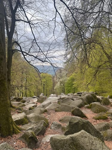 Felsenmeer – Melibokus - Riesenstuhl