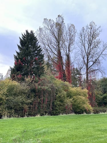 Runde bei Hermannsburg