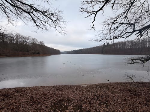 Neyetalweg zur Neyetalsperre