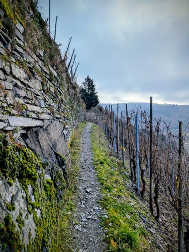 Zitronenkrämerkreuz (Premiumwanderweg)