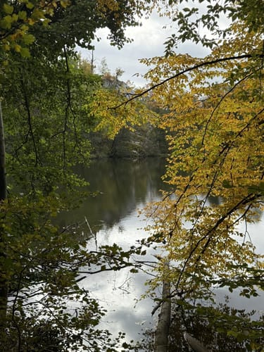 Walkenried - Itelteich - Burg Sachsenstein