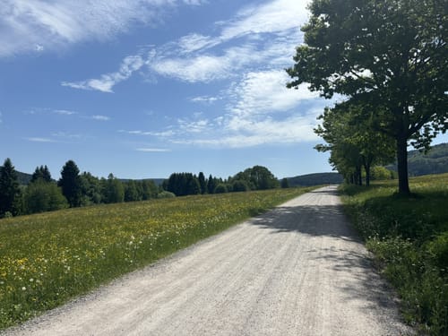 Schluchsee Rundweg