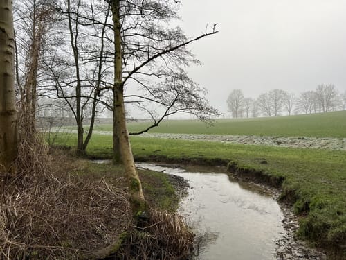 Rotthäuser Bachtal vom Naturfreunde Haus