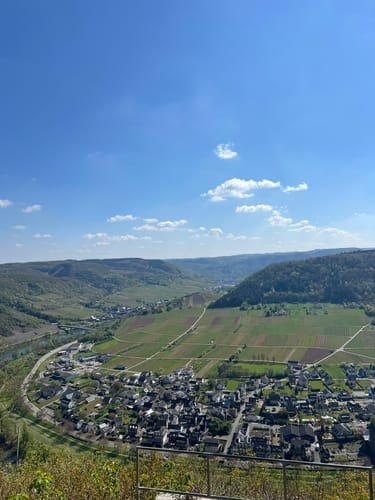 Moselsteig Etappe 18: Beilstein - Cochem
