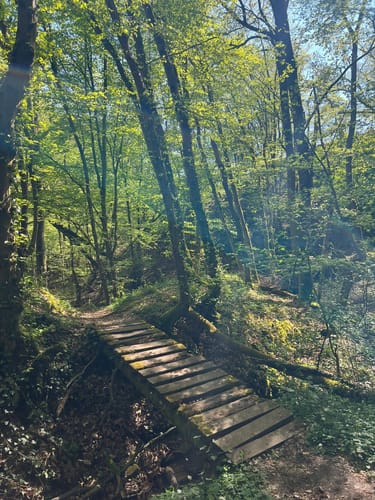 Moselsteig Etappe 18: Beilstein - Cochem