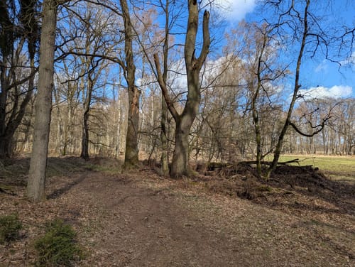 Duvenstedter Brook