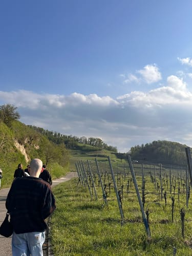 Kaiserstuhlpfad