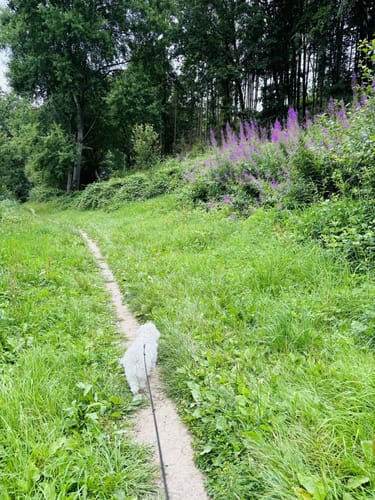 Pulvermaar Rundwanderung