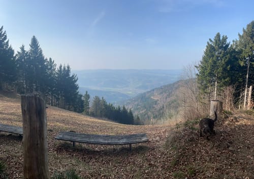 Gipfeltour bei Simonswald