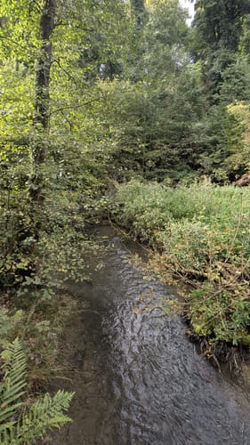 Tippeltour: Nach Gruiten an die Düssel