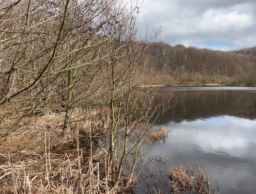 Schwarzer See Rundweg 