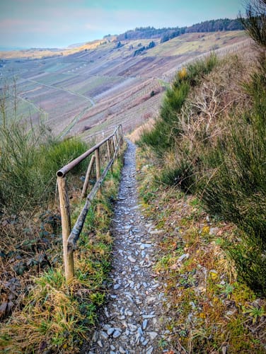 Zitronenkrämerkreuz (Premiumwanderweg)