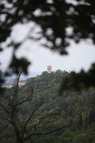 Der Naturpark Siebengebirge aus Rother Wanderführer Westerwald Nr. 50