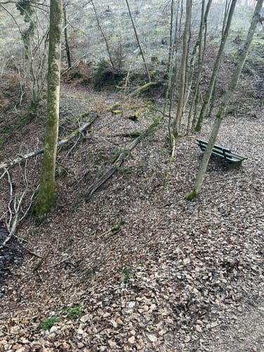 Rheinsteig Etappe 2: Königswinter - Bad Honnef