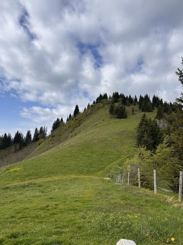 Rundweg: Hochries - Karkopf - Feichteck