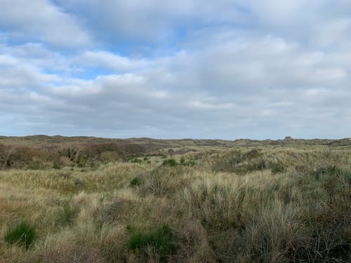 Östliches Juist über Deichpromenade