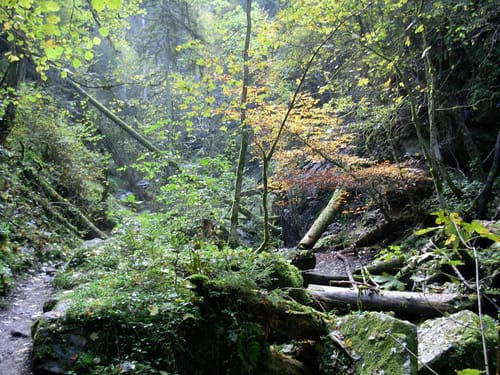Durch die Wutachschlucht