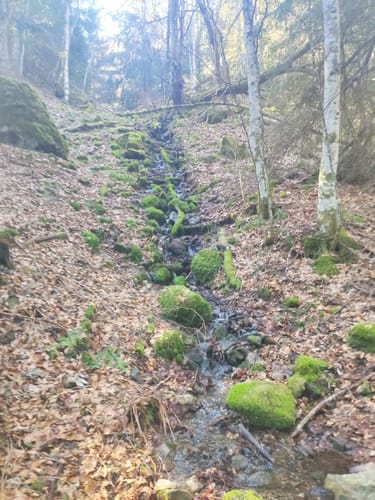 Kälbelescheuer-Nonnenmattweiher