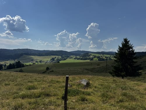 Um den Hochkopf und den Hohberg