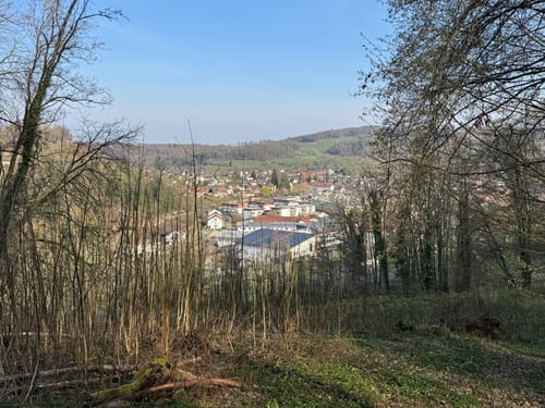 Walderlebnispfad Kandern