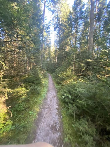 Waldpfad Groppertal (Premiumwanderweg)