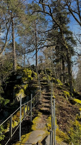 Schwarzwihrberg Rundweg