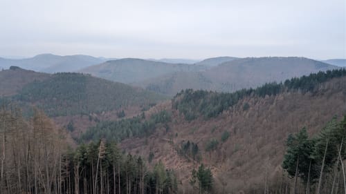 Château de Lutzelhardt - Maimont