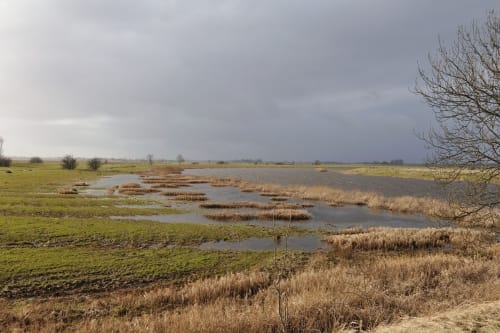 An der Treene