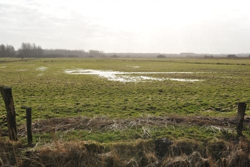 An der Treene