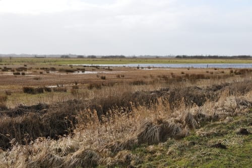 An der Treene