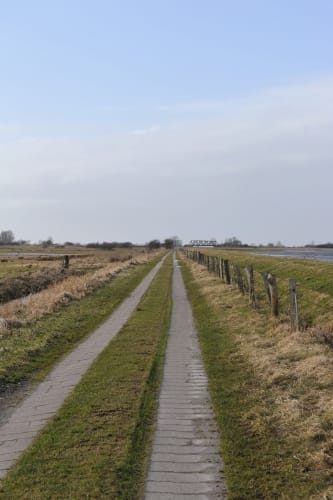 An der Treene
