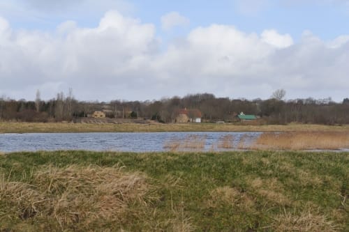 An der Treene