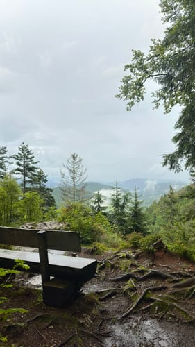 Caritashaus-Feldsee-Rundweg