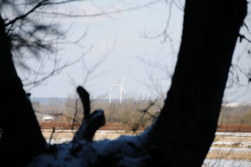 Kleine Runde bei Horstedt