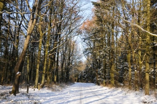 Kleine Runde bei Horstedt
