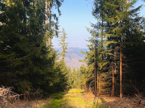 Neckarsteig Etappe 3: Neckarsteinach - Hirschhorn