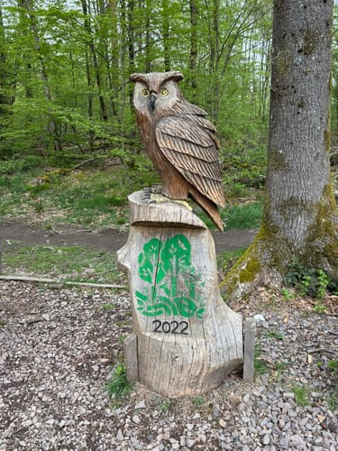 Hartfüßler Trail 30km